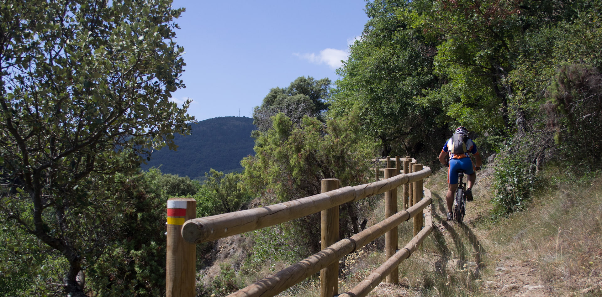 Paseos en bicicleta