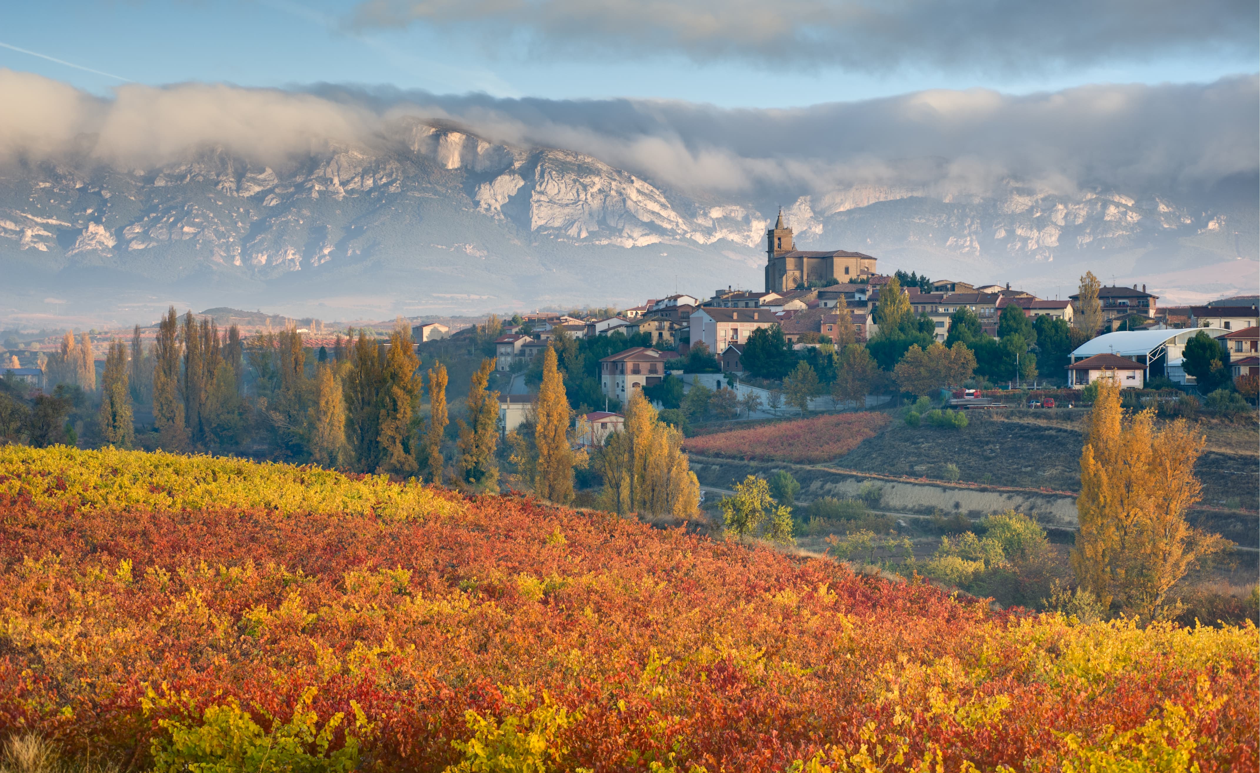 Septiembre en Rioja Alavesa: vendimia, pueblos y enoturismo
